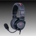 Cerwin Vega HB2 Wired Over Ear Headphones w/Microphone Mixing DJ Stereo Headsets with Removable Audio Cable for Various Devices - Black