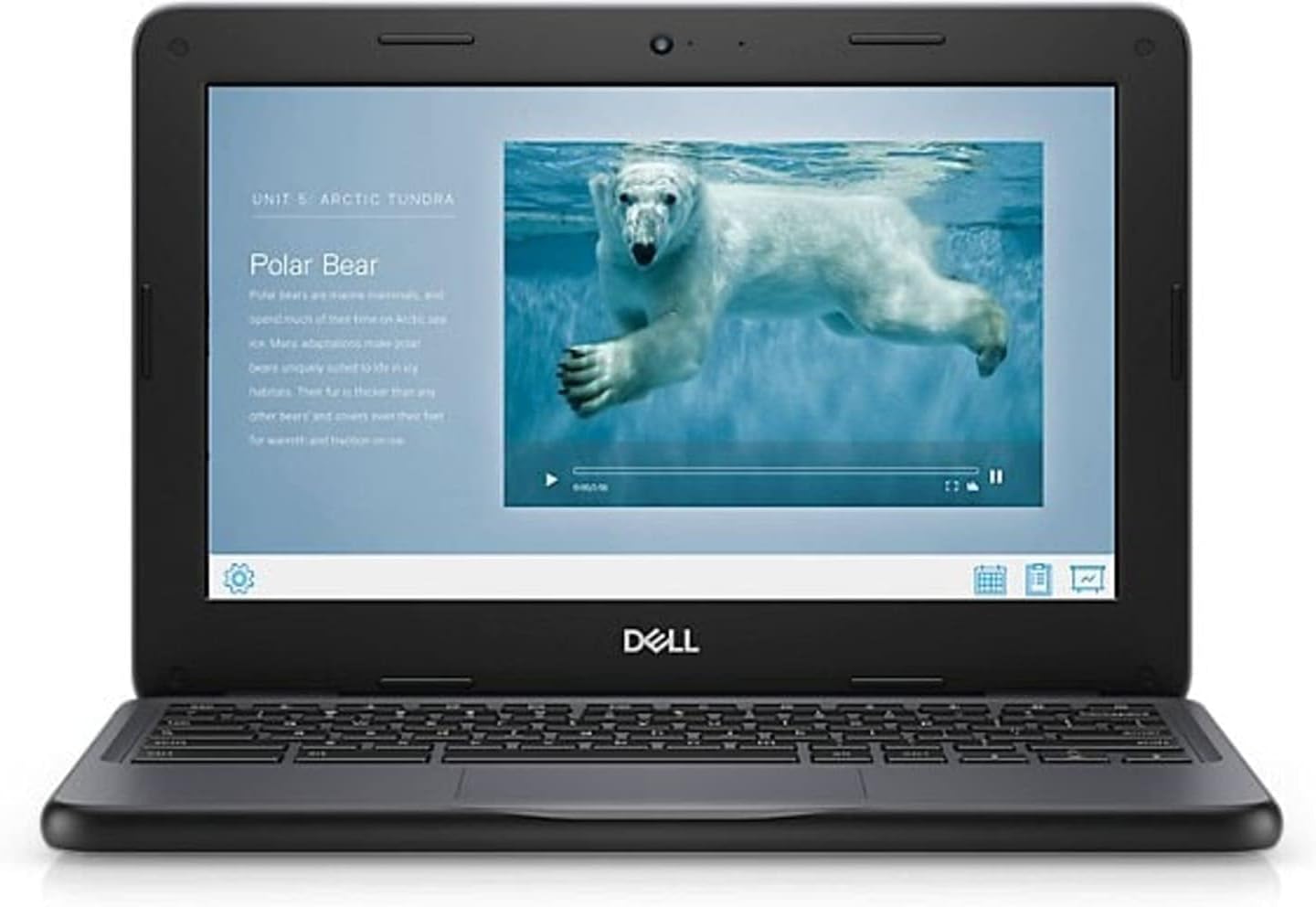 Dell Chromebook 3100 Laptop | 11.6' 1366x768 HD | Celeron-N4020-32GB SSD Hard Drive - 8GB RAM | 2 cores @ 2.8 GHz Chrome OS (Renewed)