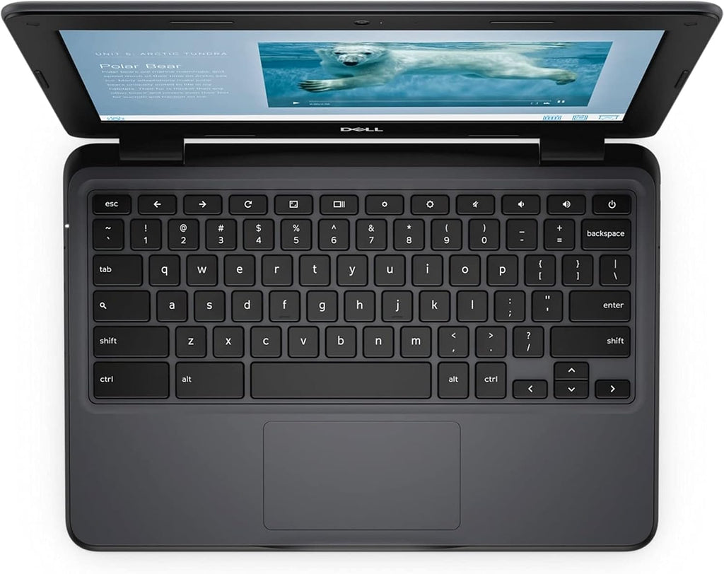 Dell Chromebook 3100 Laptop | 11.6' 1366x768 HD | Celeron-N4020-32GB SSD Hard Drive - 8GB RAM | 2 cores @ 2.8 GHz Chrome OS (Renewed)