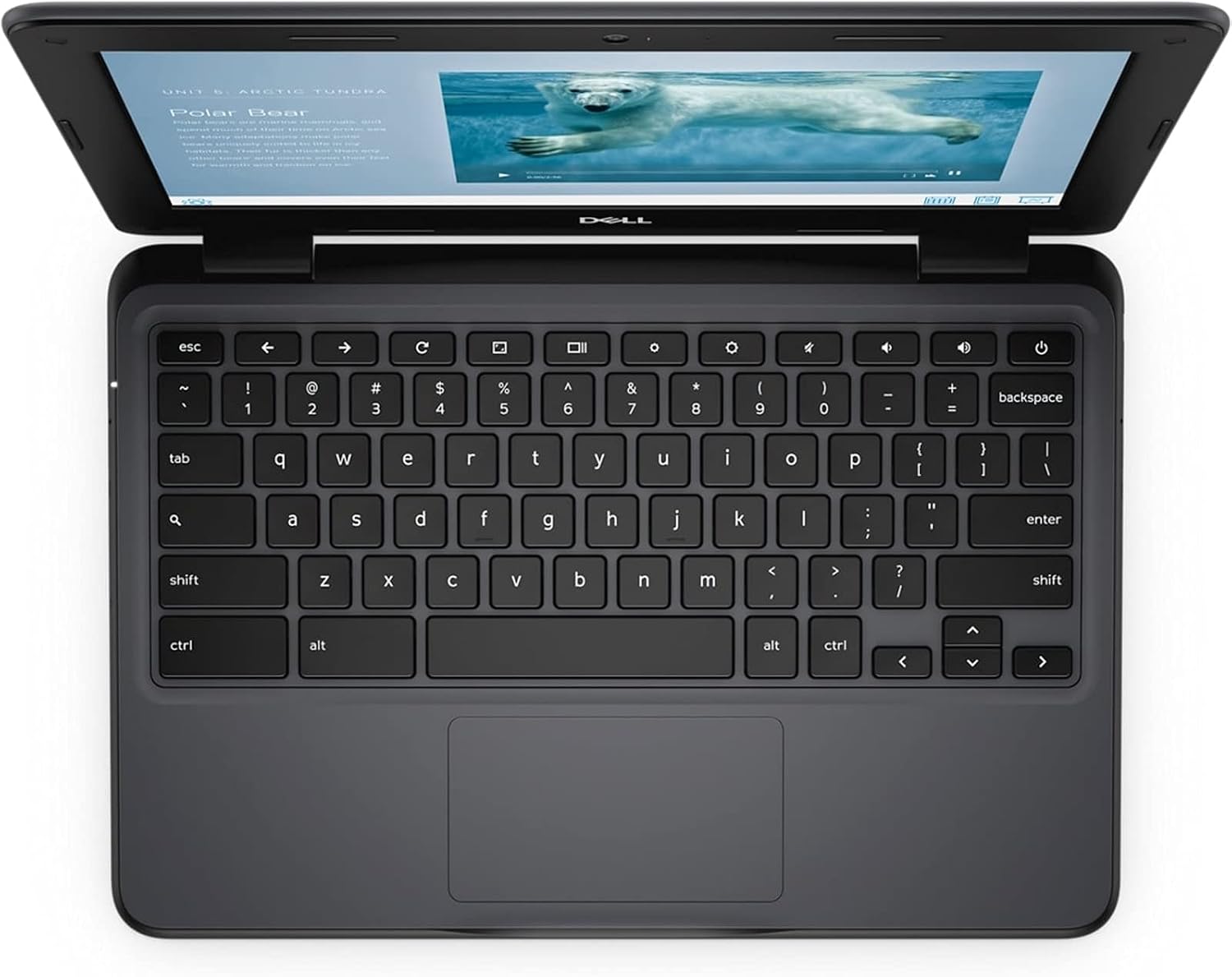 Dell Chromebook 3100 Laptop | 11.6' 1366x768 HD | Celeron-N4020-32GB SSD Hard Drive - 8GB RAM | 2 cores @ 2.8 GHz Chrome OS (Renewed)