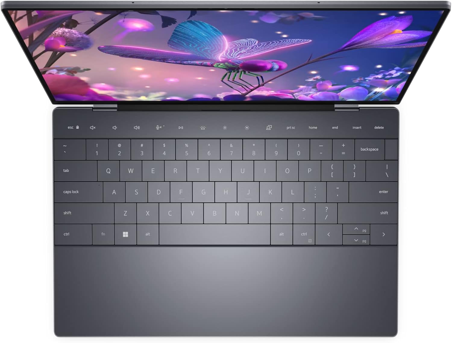 Dell XPS 13 9320 Plus 13.4' Laptop Intel Core i7-1260P (12-Core) 1TB PCIe SSD 32GB RAM 3.5K OLED (3456X2160) InfinityEdge TOUCH Win 11 PRO (Black) (Renewed)