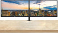 Dell E2423HN 24-inch 1080P Full HD Wide Angle LED LCD Monitor, 2-Pack VGA, HDMI and Desk Mount Dual Monitor Stand (Renewed)
