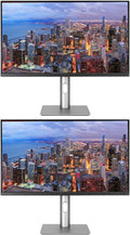 Asus ProArt PA329CRV 32-inch 2160P 4K UHD IPS Professional Monitor, 2-Pack Bundle with USB-C 96W PD, Daisy Chain DisplayPort, HDMI, USB Hub and Integrated Speakers