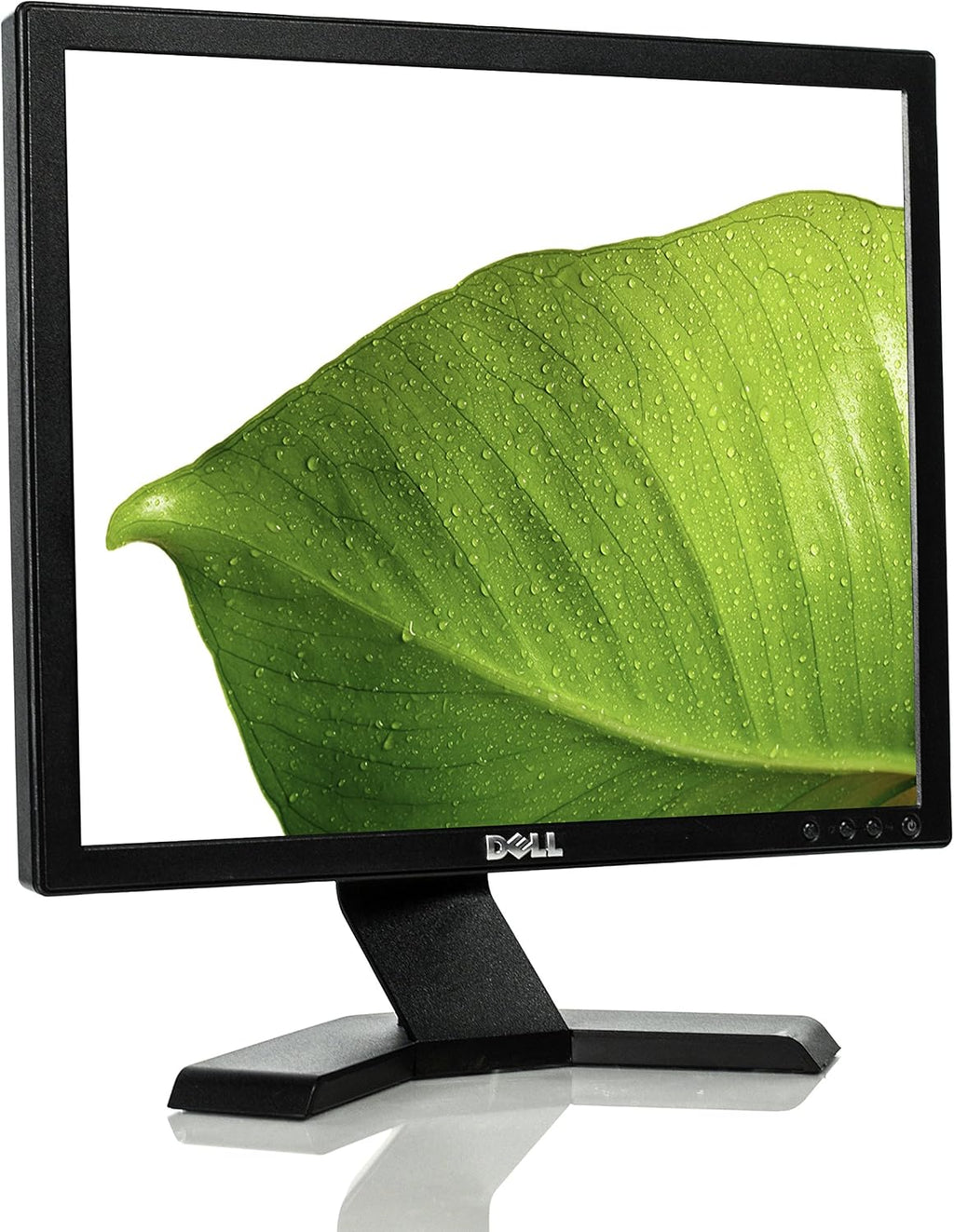Dell E170S 17-inch flat panel monitor