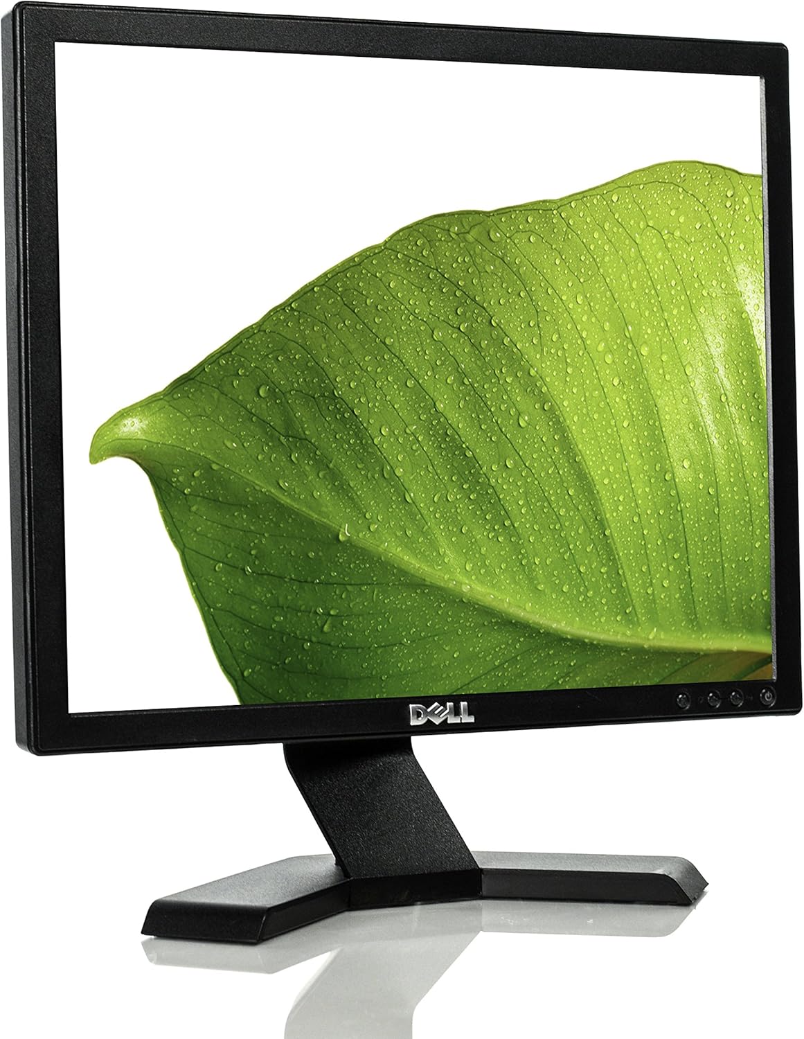 Dell E170S 17-inch flat panel monitor
